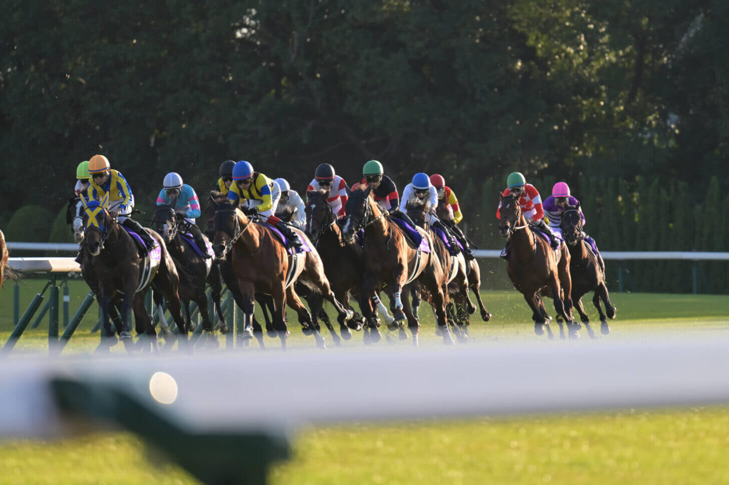 2023マイルCS 京都競馬場4コーナー