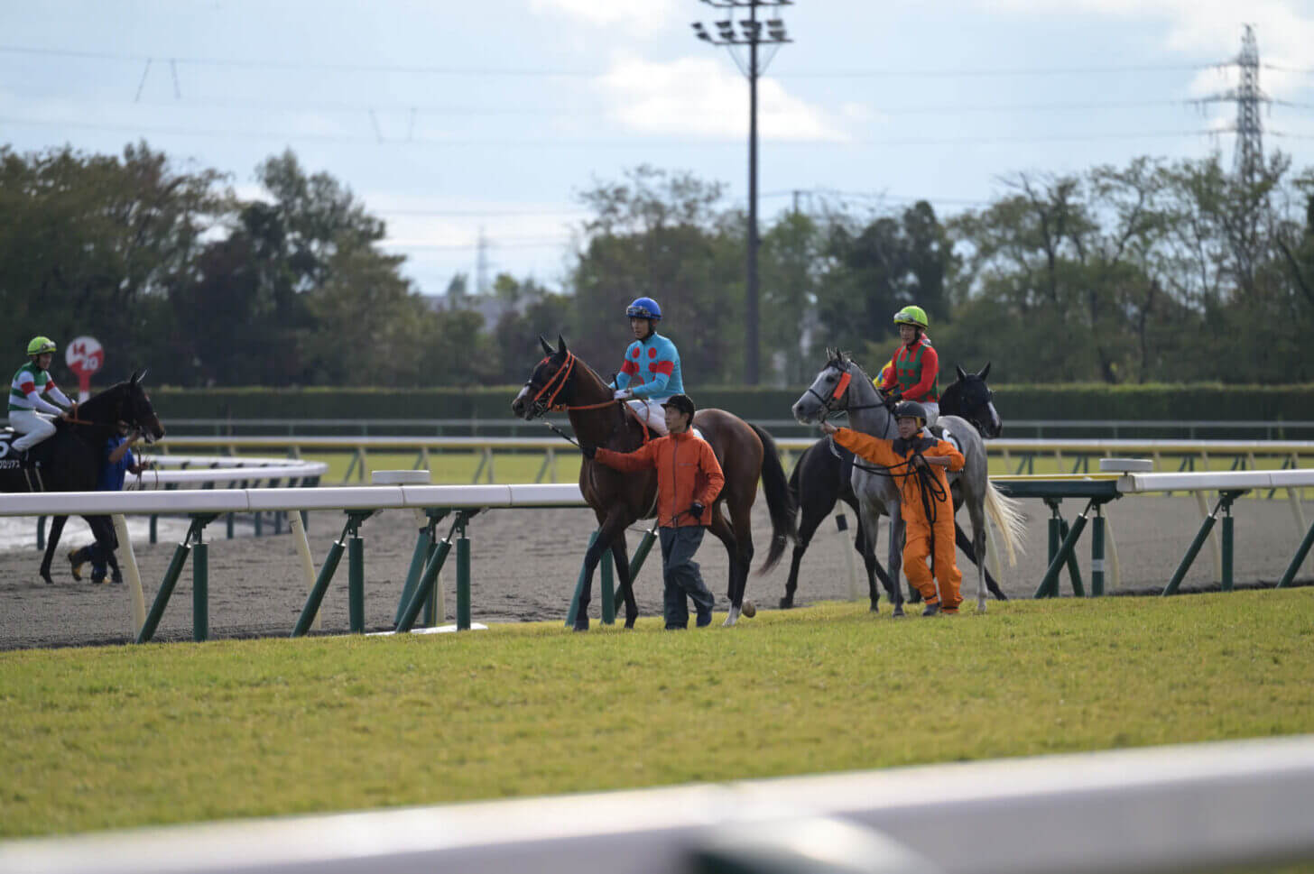 ローマンネイチャー 萬代橋特別返し馬