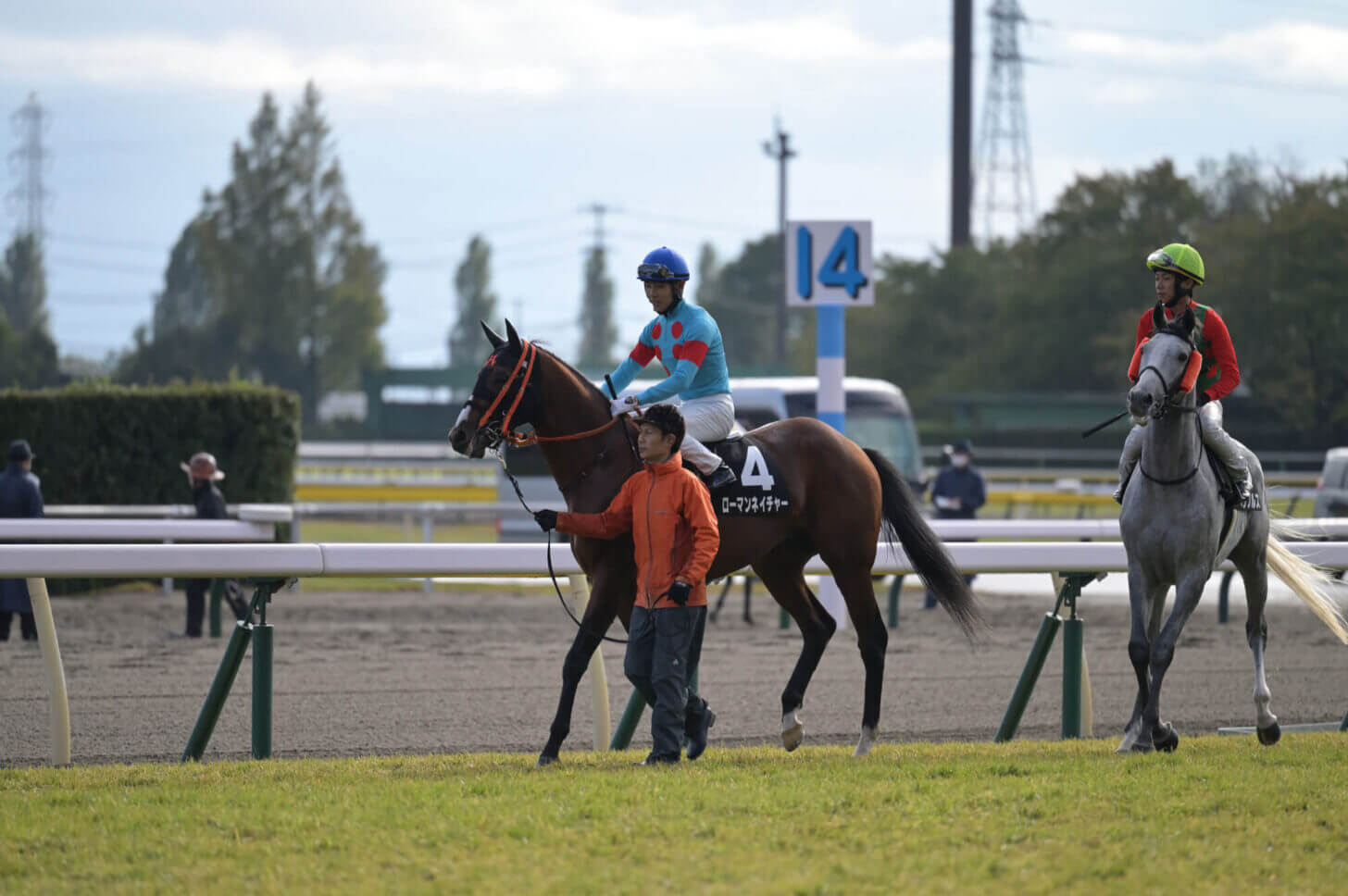 ローマンネイチャー 萬代橋特別返し馬