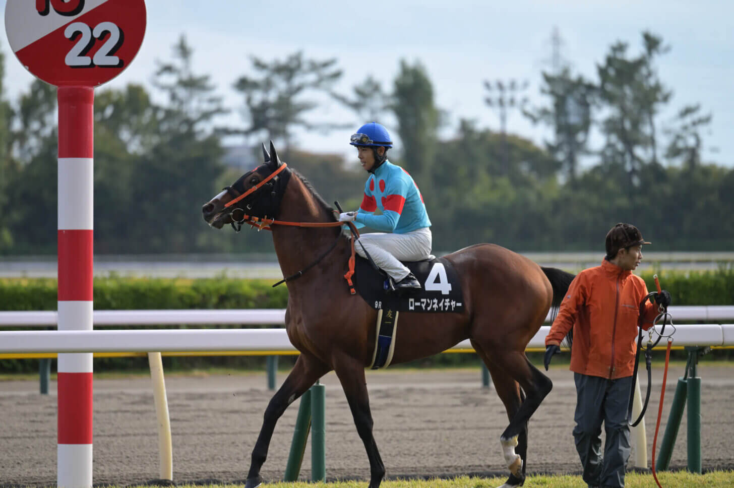 ローマンネイチャー 萬代橋特別返し馬