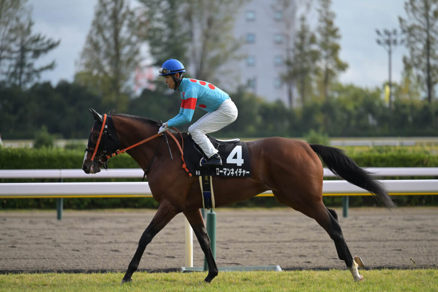 ローマンネイチャー 萬代橋特別返し馬