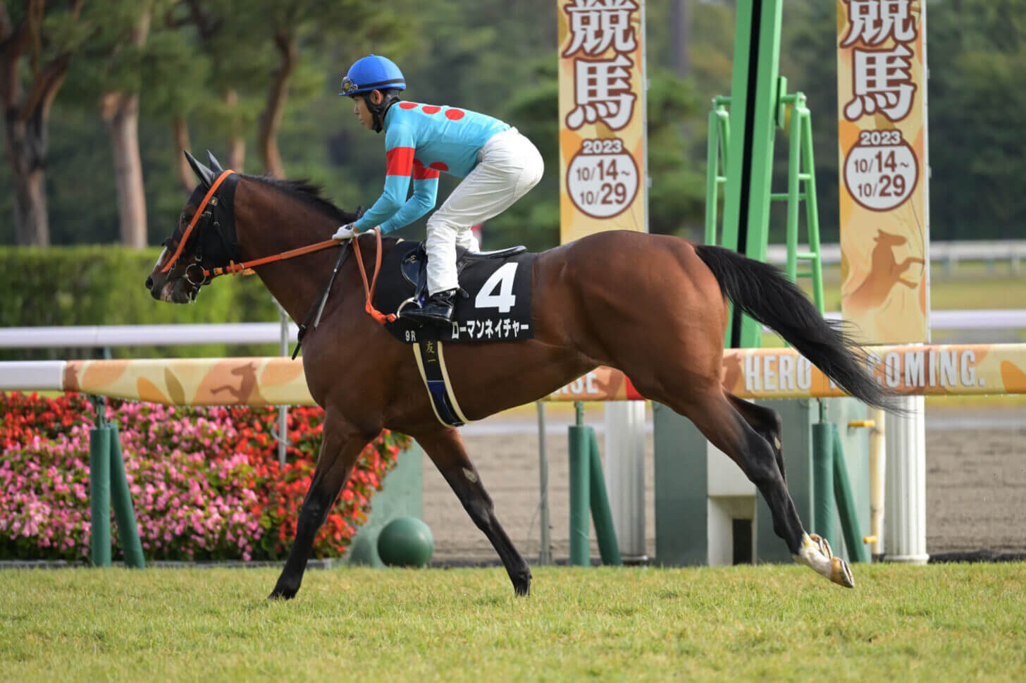 ローマンネイチャー 萬代橋特別返し馬