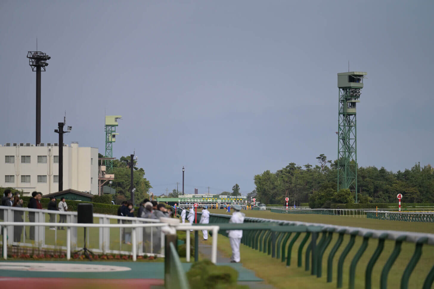 ローマンネイチャー 萬代橋特別 発走直前の新潟競馬場