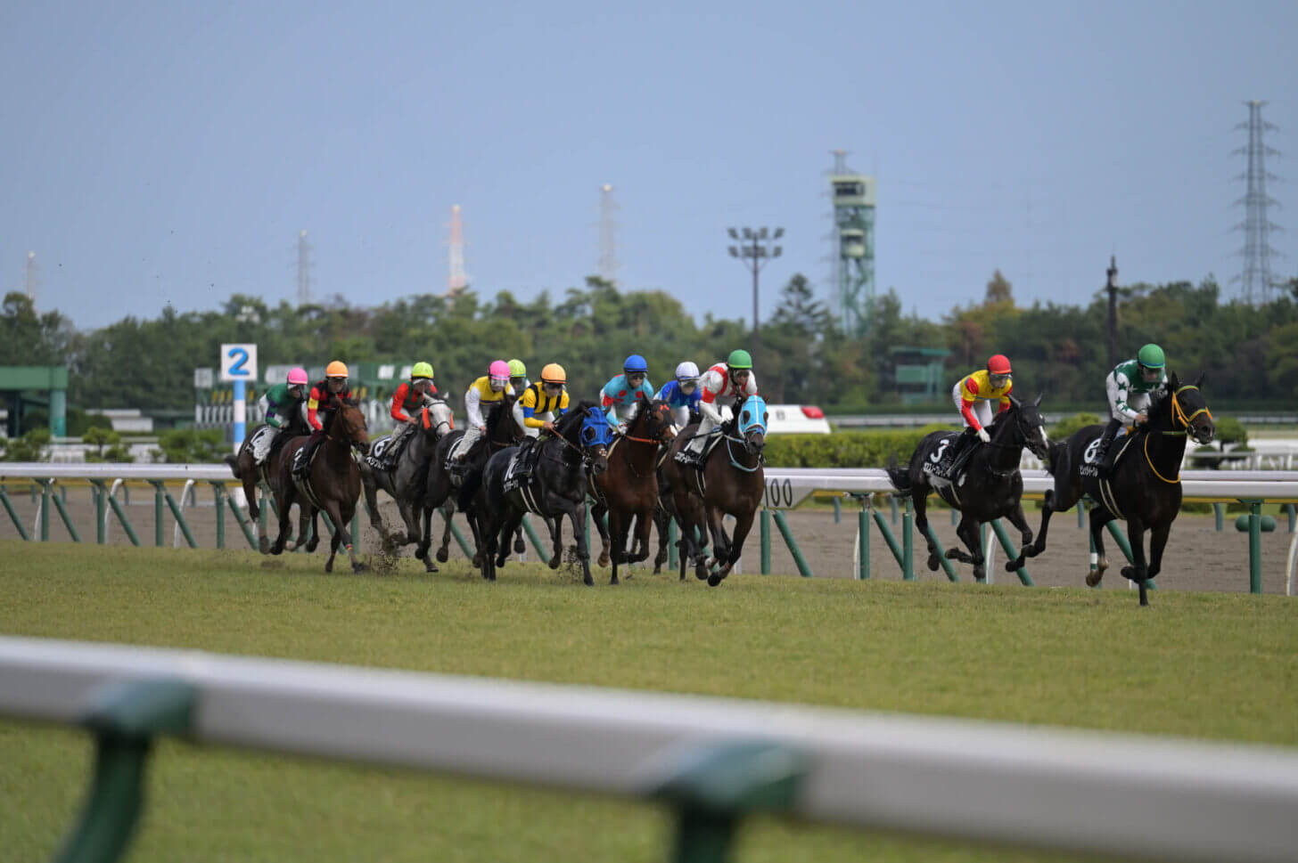 ローマンネイチャー 萬代橋特別 レース写真