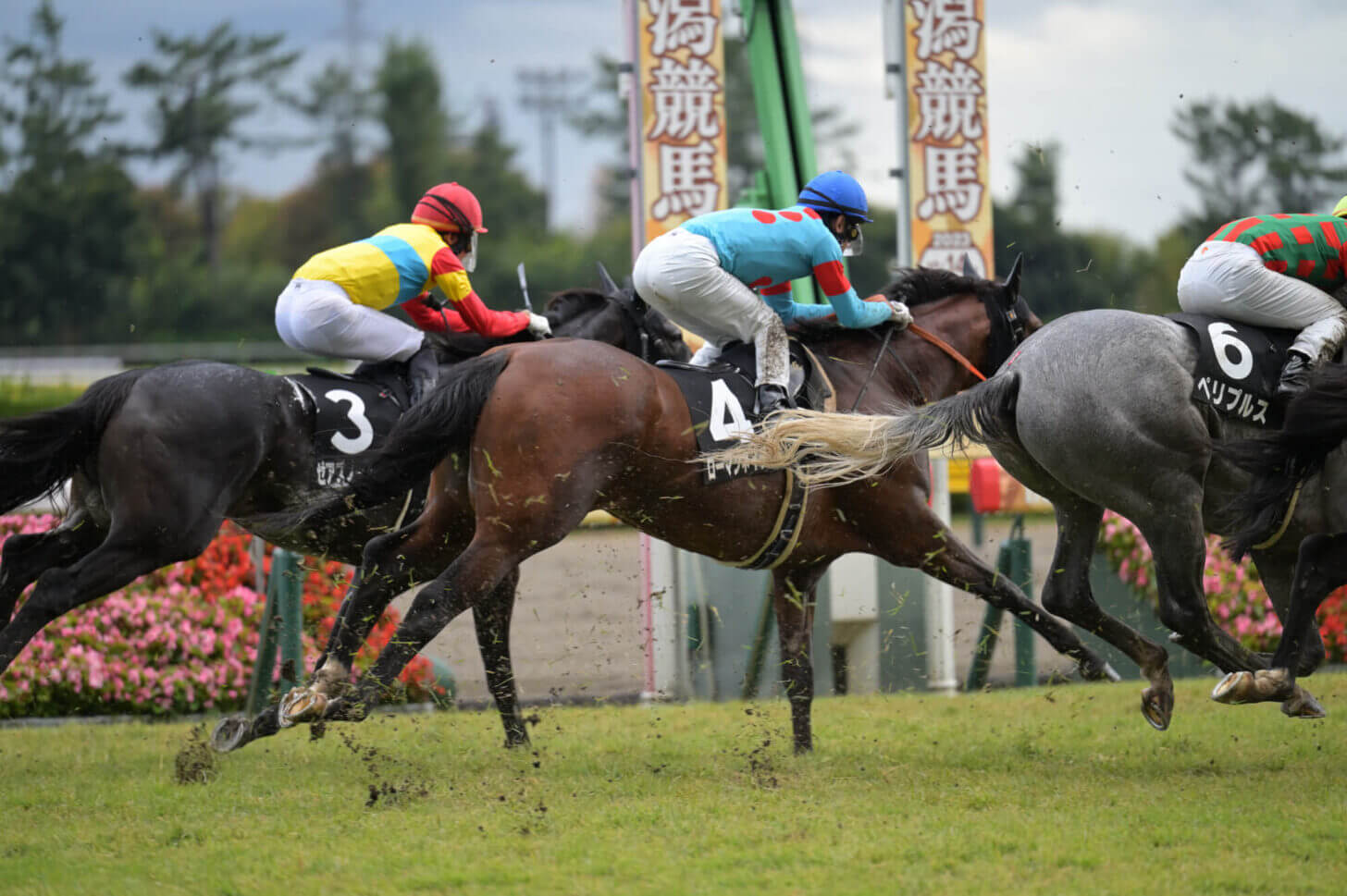 ローマンネイチャー 萬代橋特別 レース写真