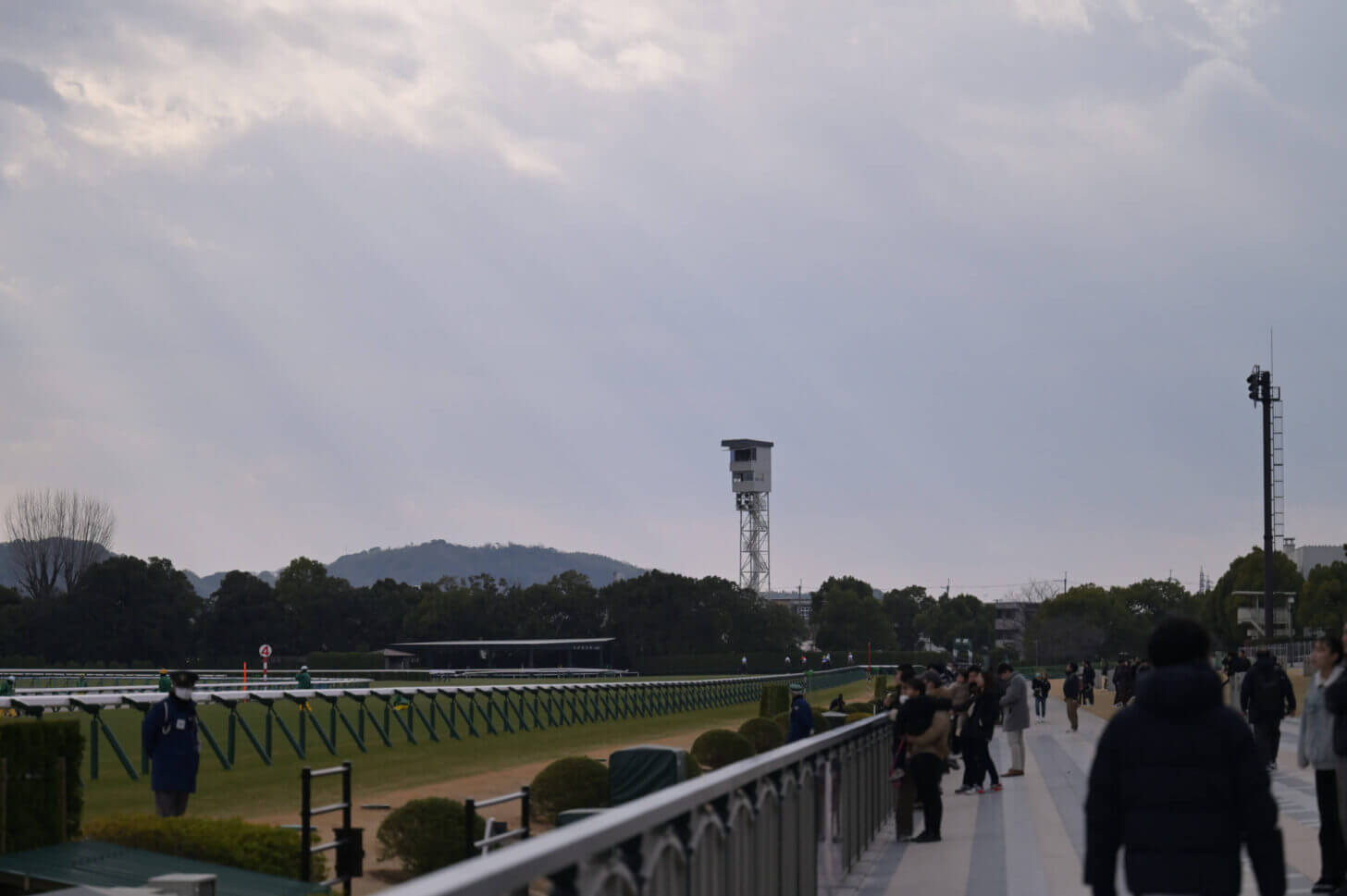 薄陽がさす京都競馬場