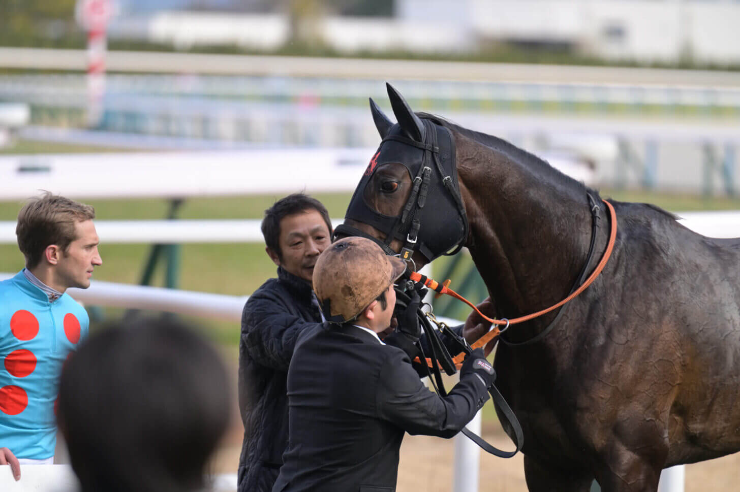 インファイター4戦目レース後口取りにて