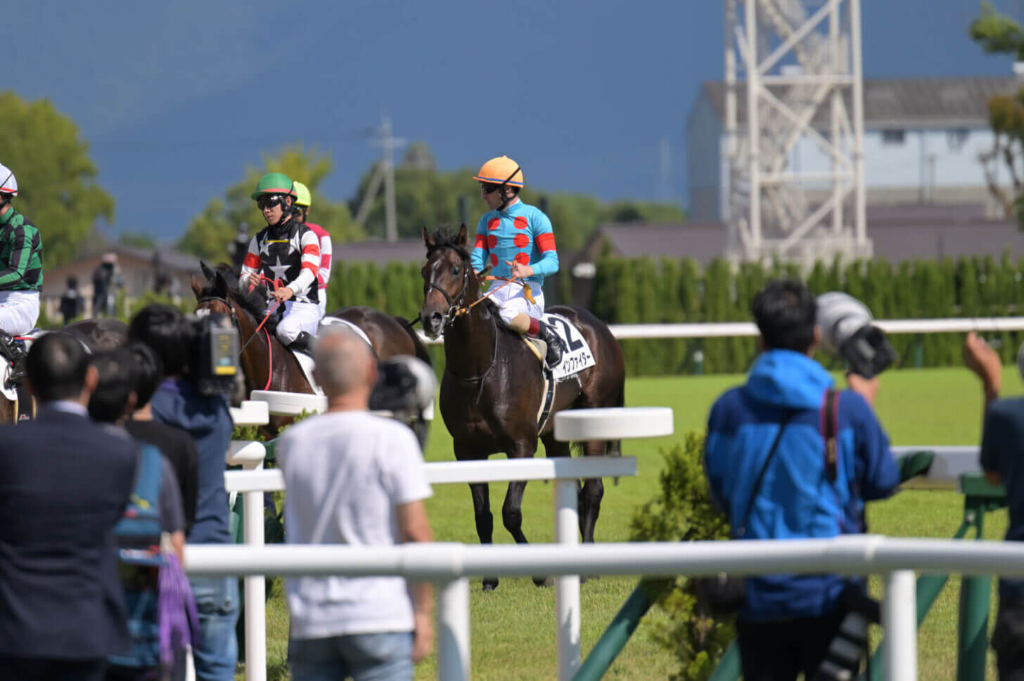 インファイターデビュー戦レース後