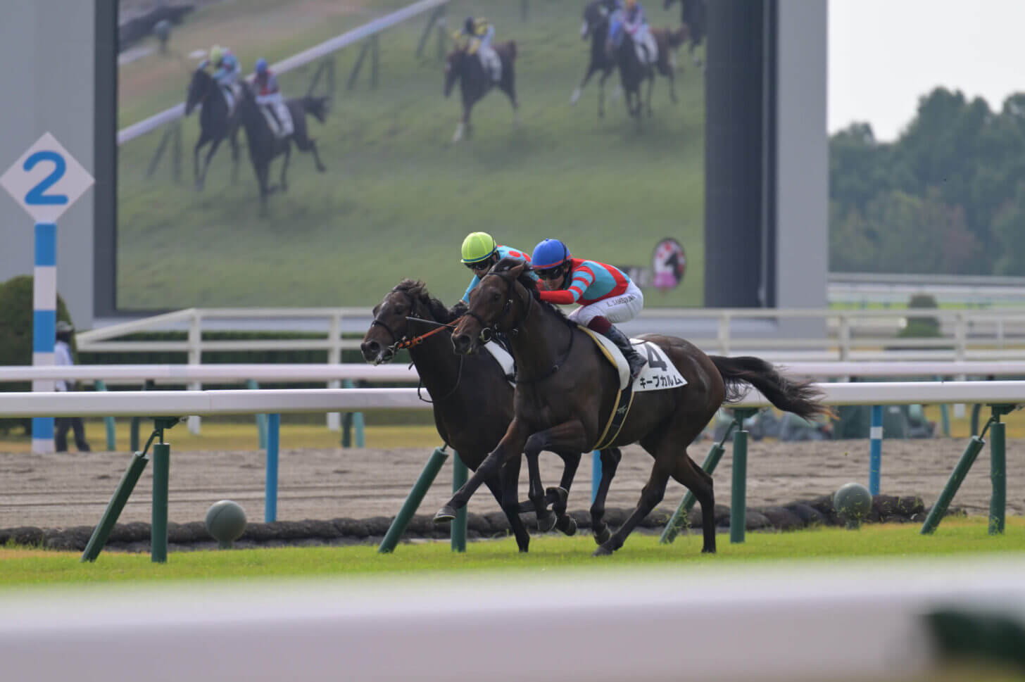 インファイター2戦目レース