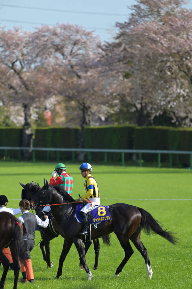 ジャンタルマンタル 皐月賞レース前の輪乗りにて