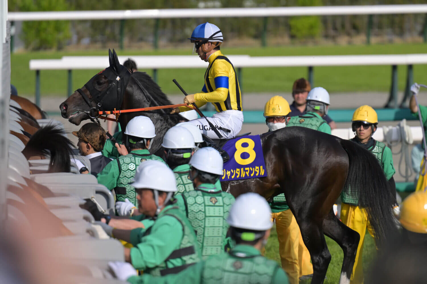 ジャンタルマンタル 皐月賞レース前の輪乗りにて