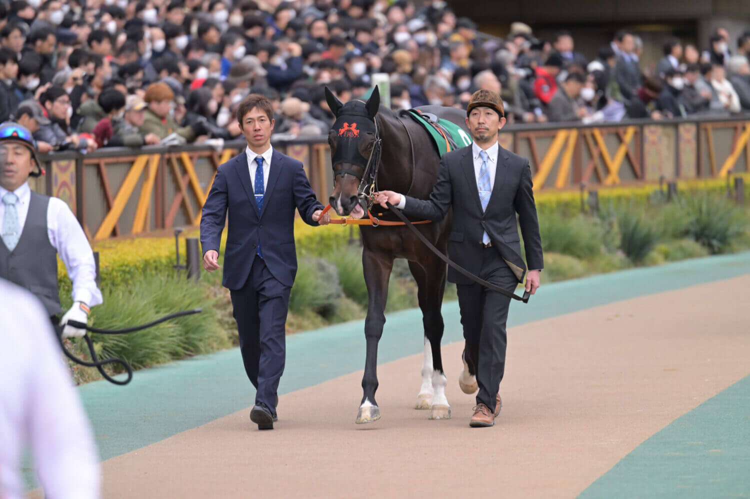 ジャンタルマンタル 共同通信杯パドック