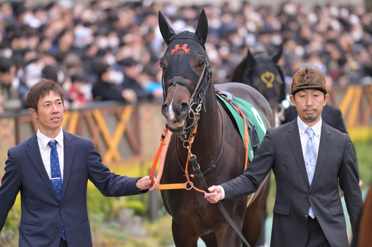 ジャンタルマンタル 共同通信杯パドック