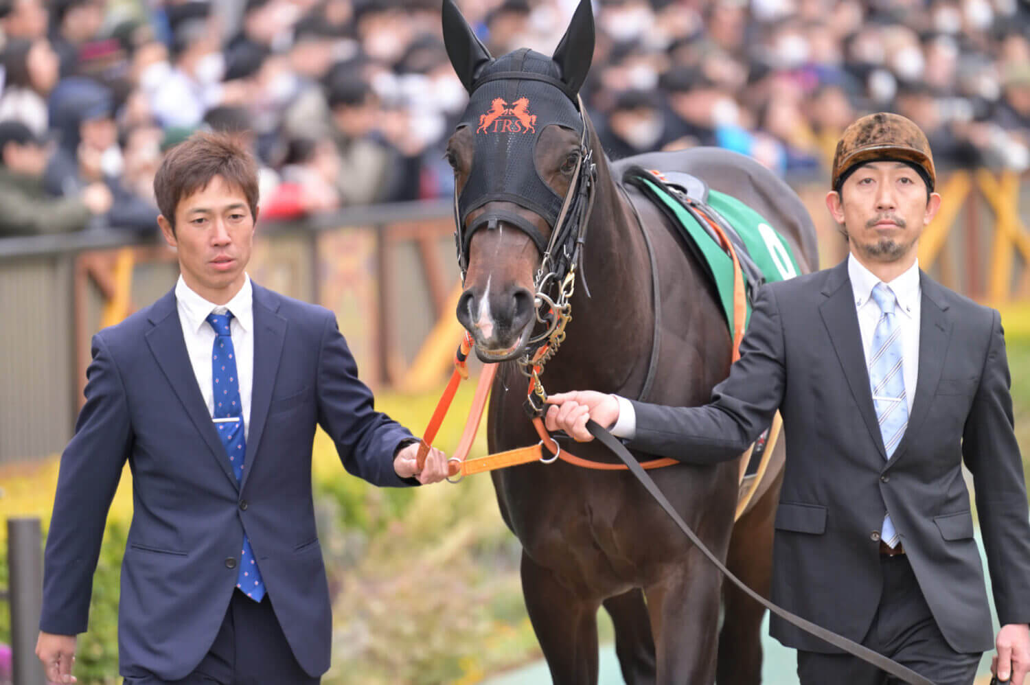 ジャンタルマンタル 共同通信杯パドック