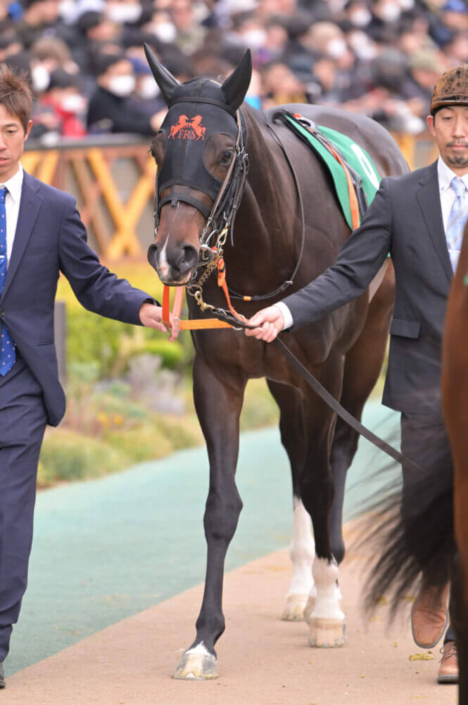 ジャンタルマンタル 共同通信杯パドック