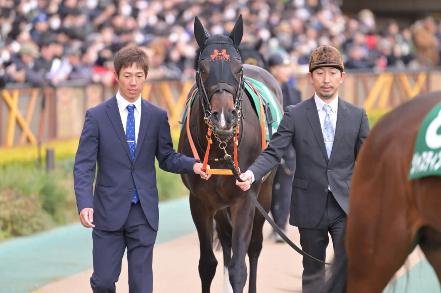 ジャンタルマンタル 共同通信杯パドック