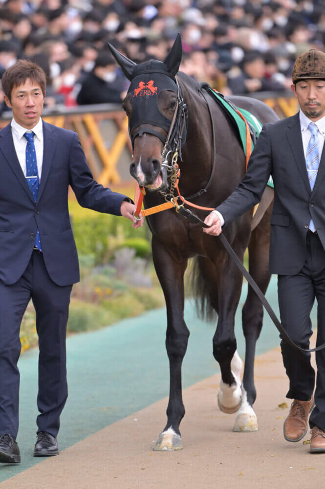 ジャンタルマンタル 共同通信杯パドック