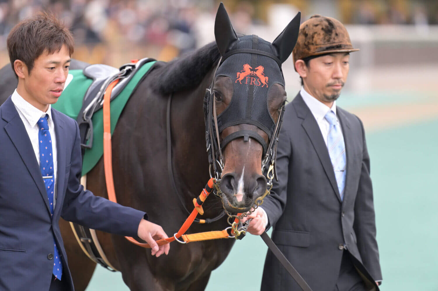 ジャンタルマンタル 共同通信杯パドック