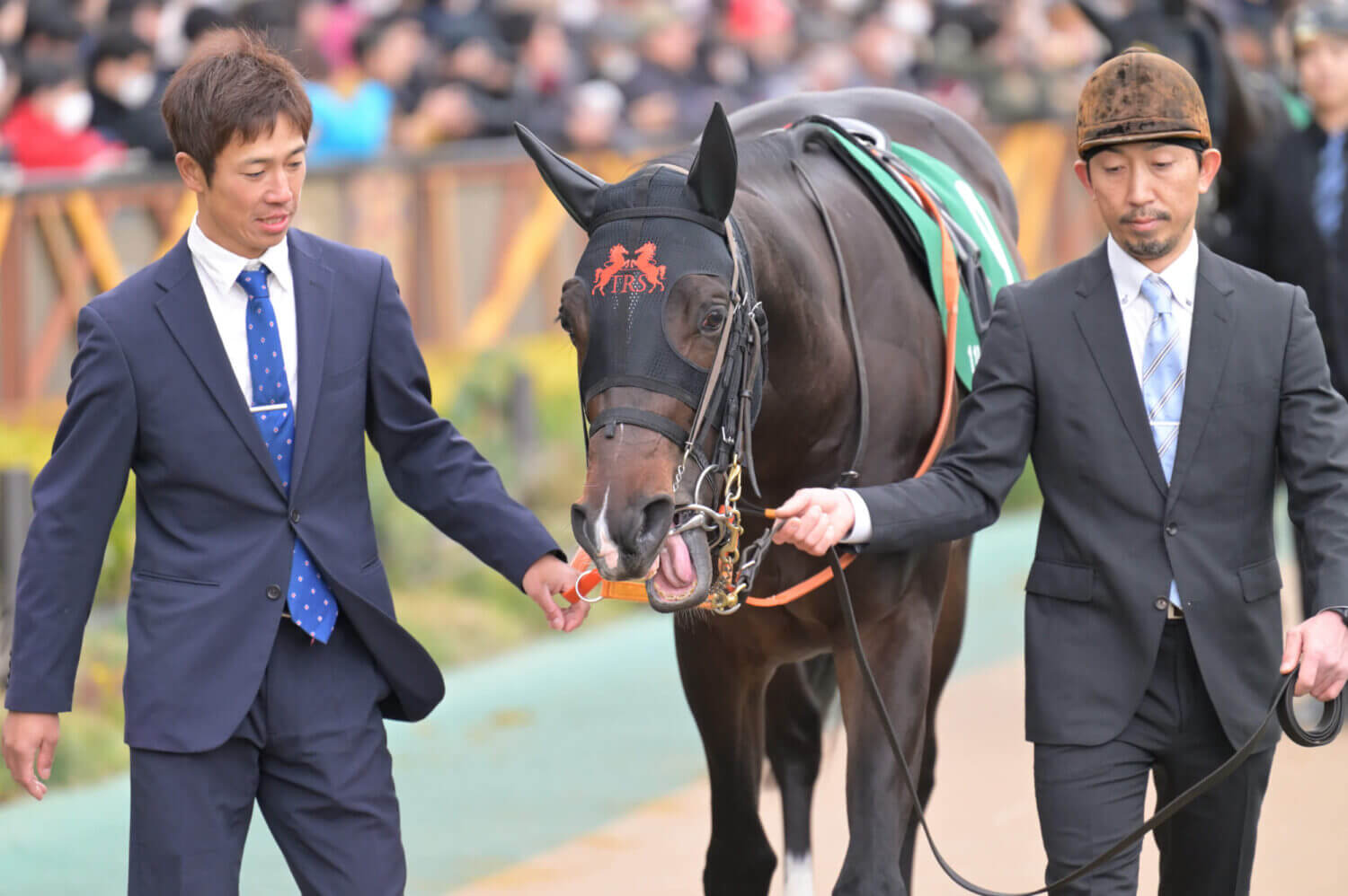 ジャンタルマンタル 共同通信杯パドック