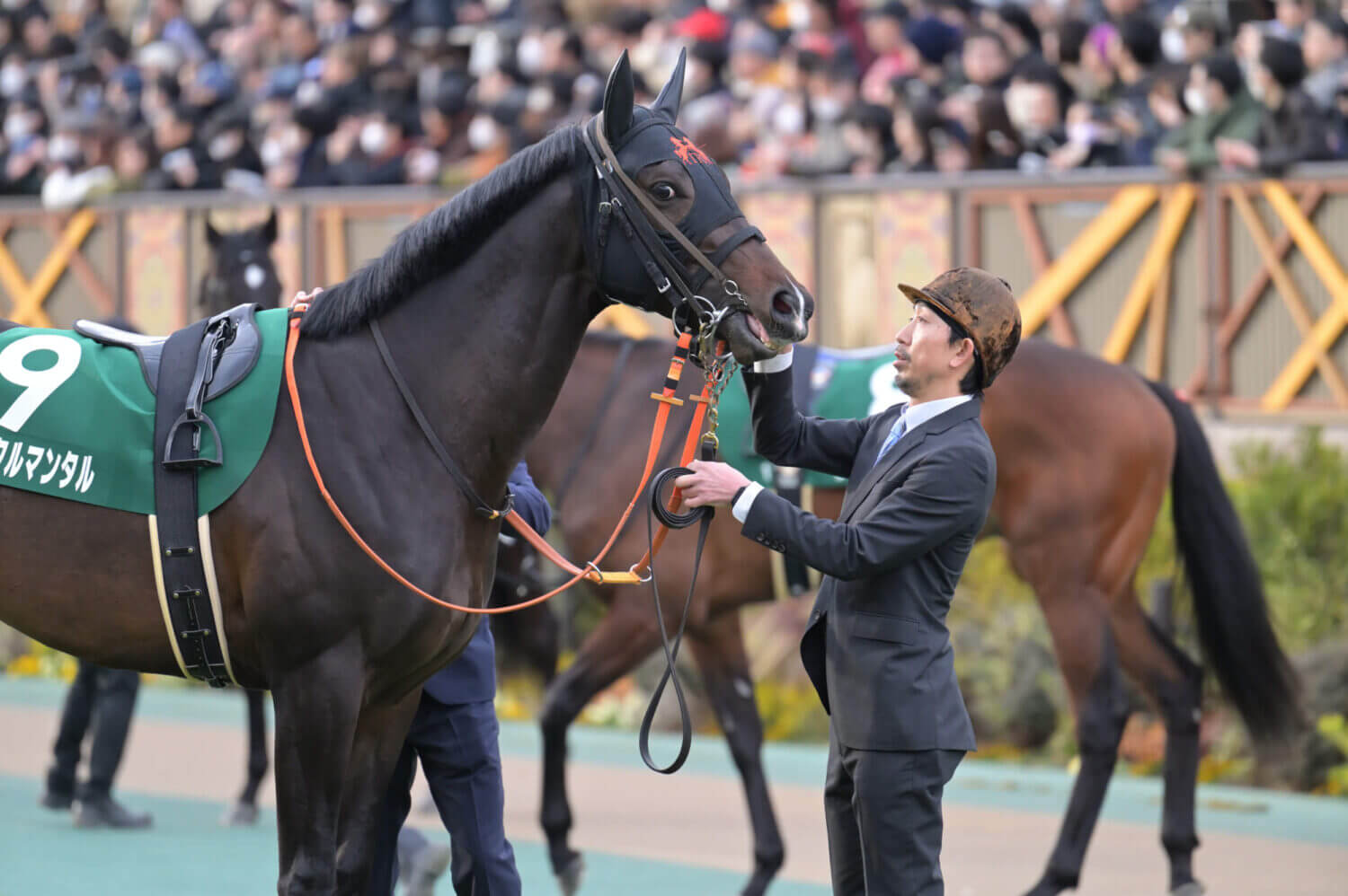 ジャンタルマンタル 共同通信杯パドック