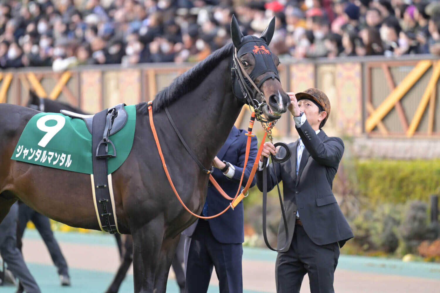 ジャンタルマンタル 共同通信杯パドック