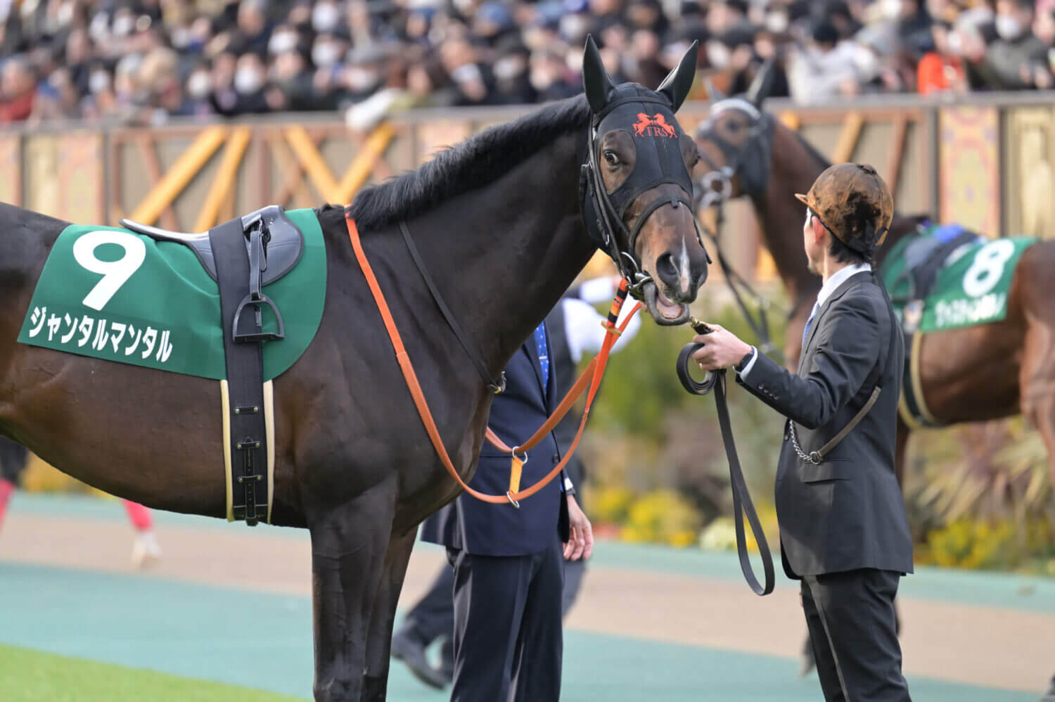 ジャンタルマンタル 共同通信杯パドック