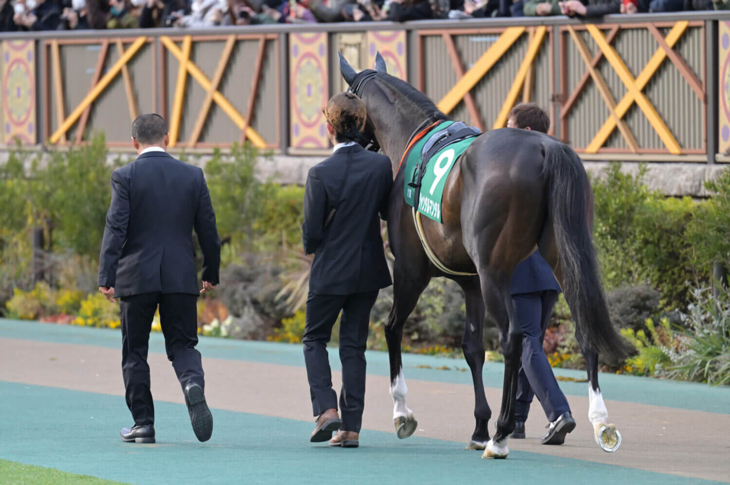 ジャンタルマンタル 共同通信杯パドック