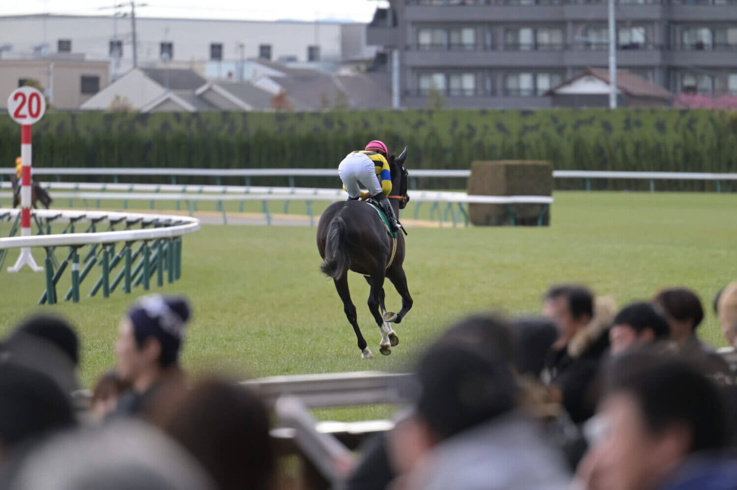 ジャンタルマンタル 共同通信杯返し馬