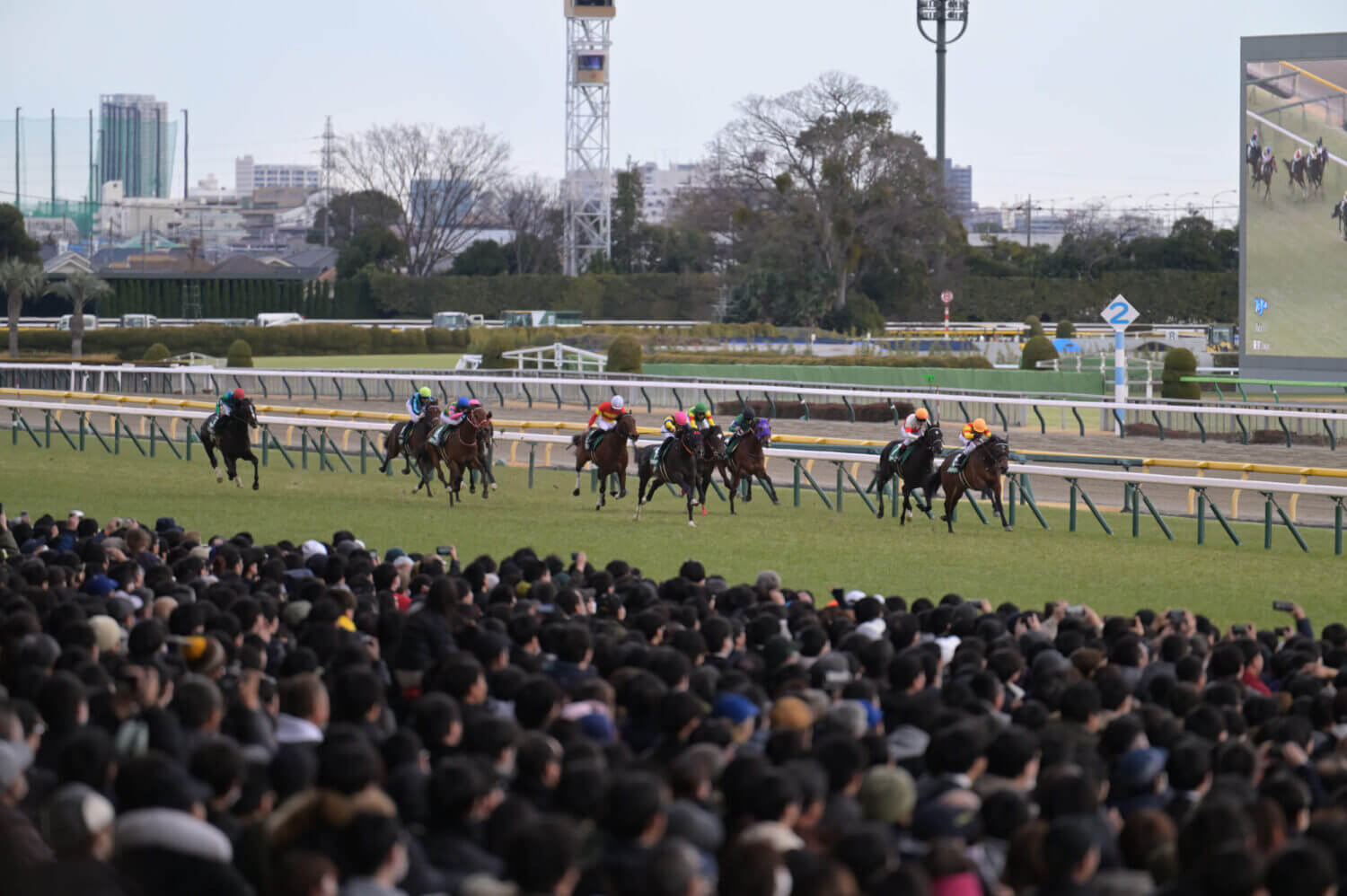 ジャンタルマンタル 共同通信杯