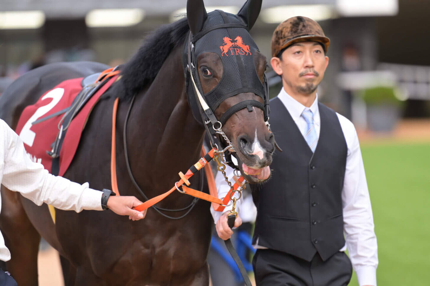 ジャンタルマンタル デイリー杯2歳Sパドック