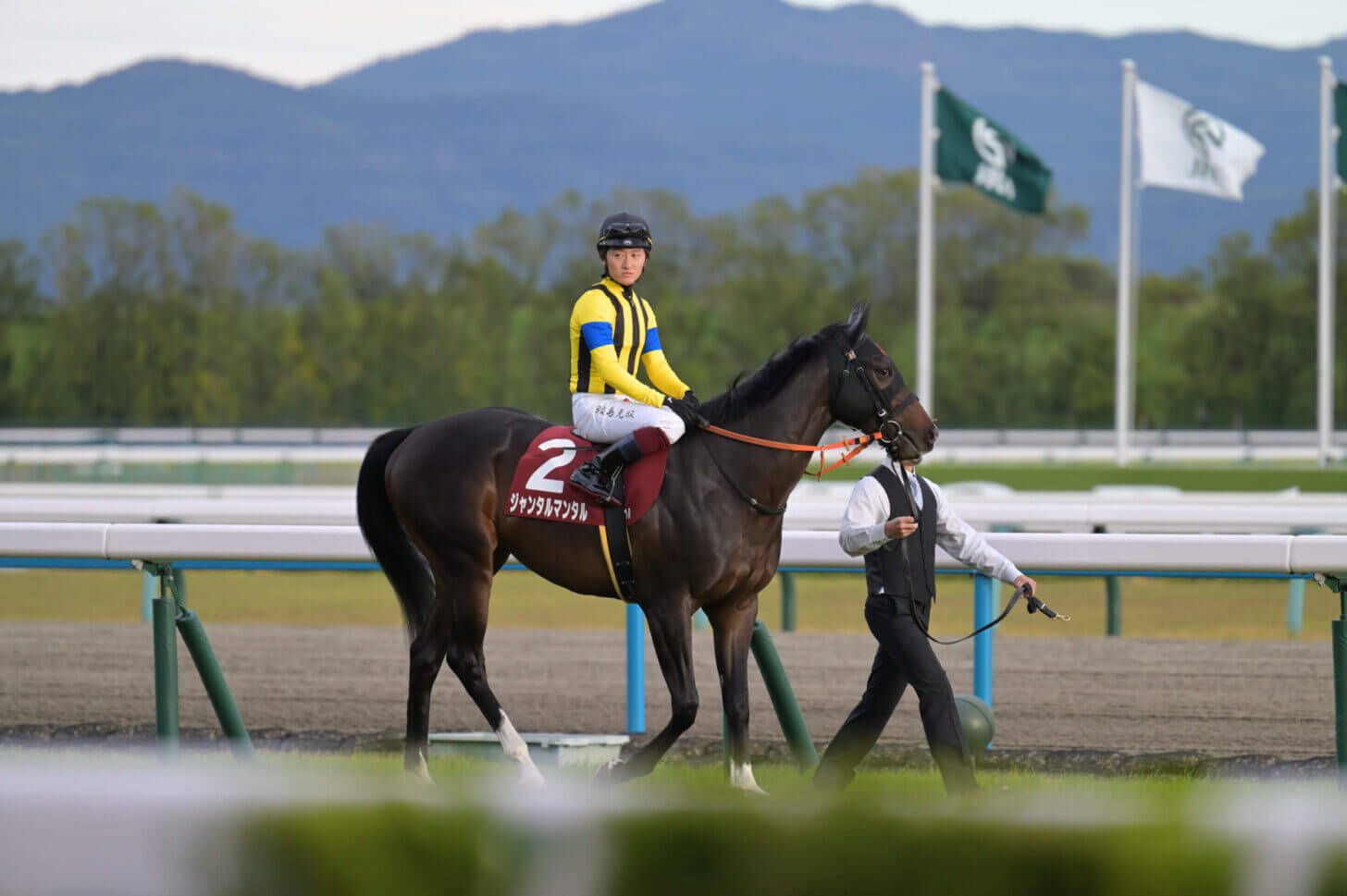 ジャンタルマンタル デイリー杯2歳S返し馬