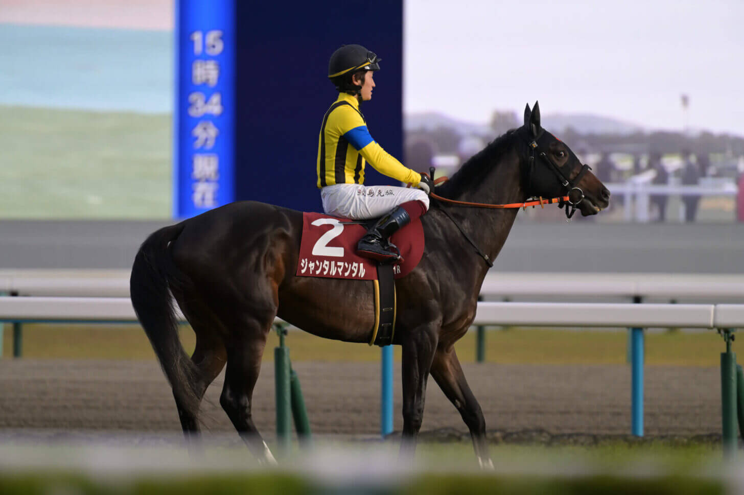 ジャンタルマンタル デイリー杯2歳S返し馬