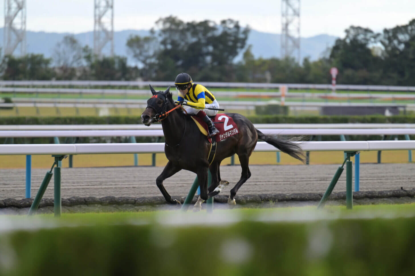 ジャンタルマンタル デイリー杯2歳S