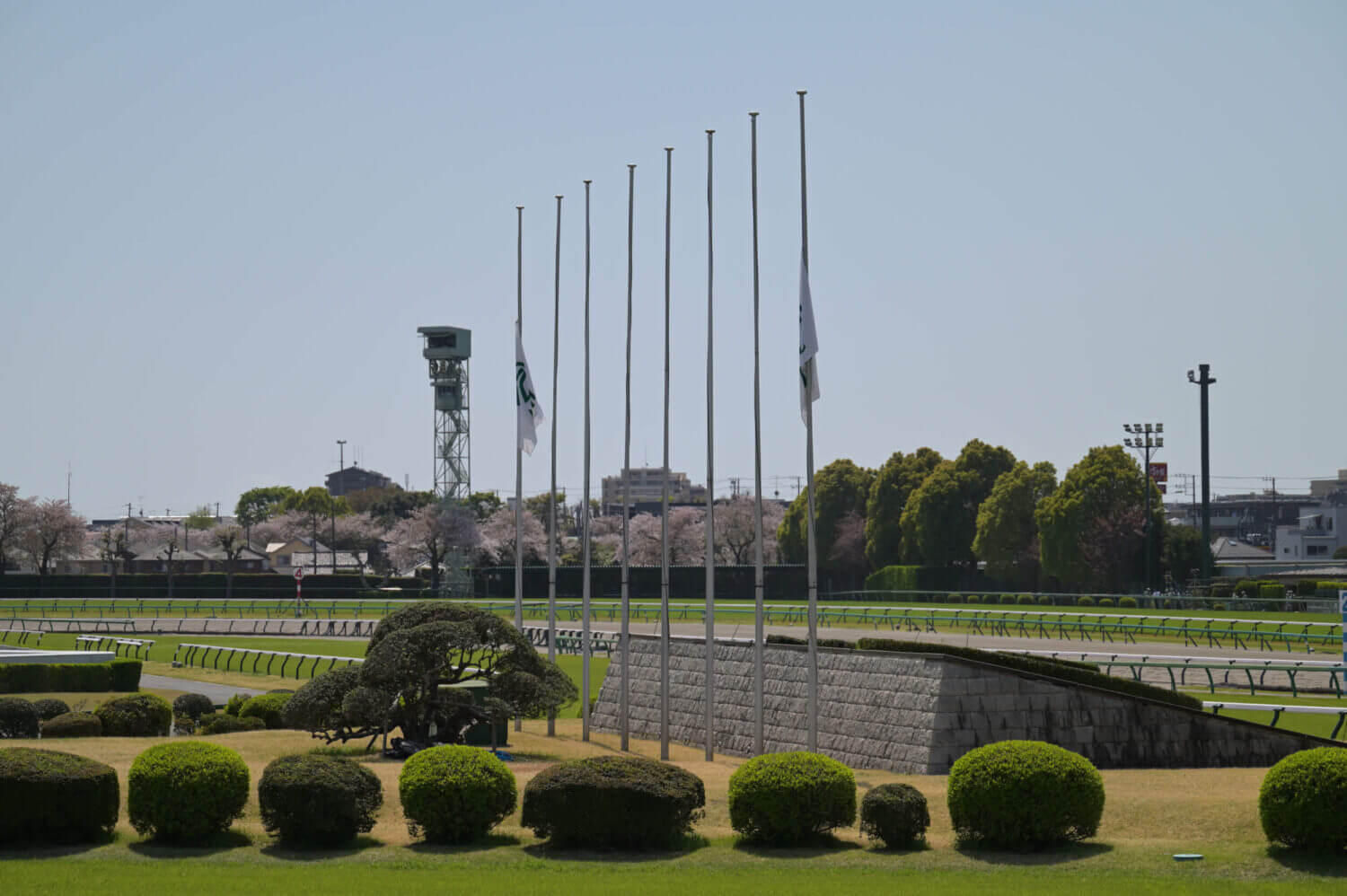 2024年皐月賞当日の中山競馬場