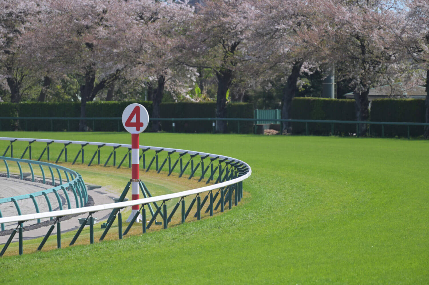 2024年皐月賞当日の中山競馬場