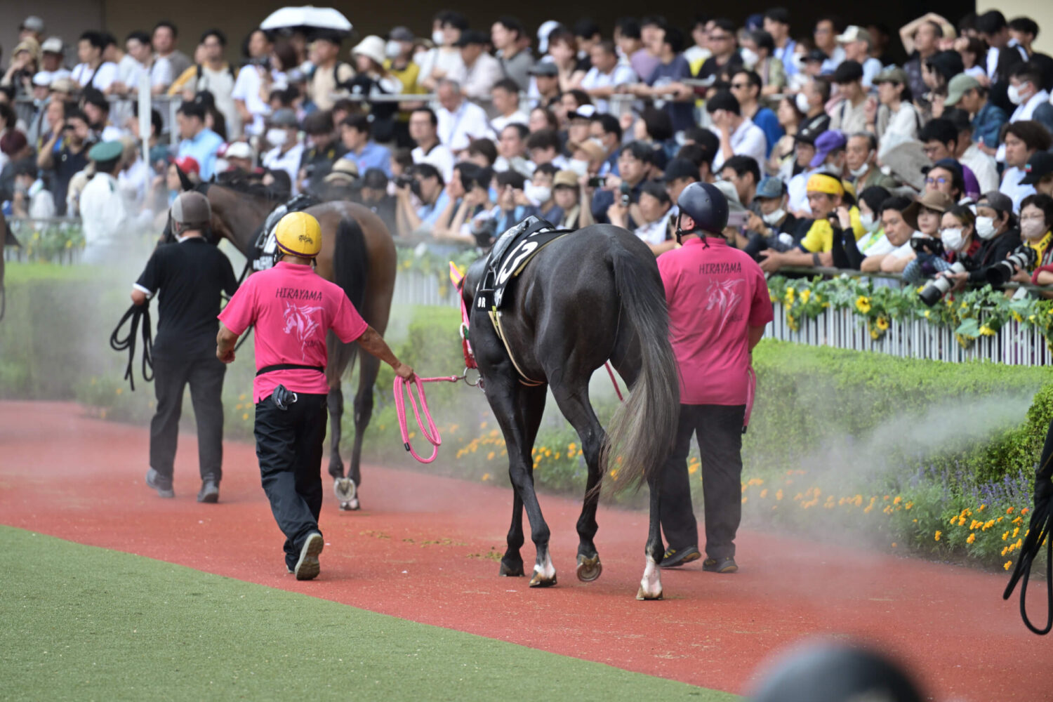 Nikon Z6III初競馬