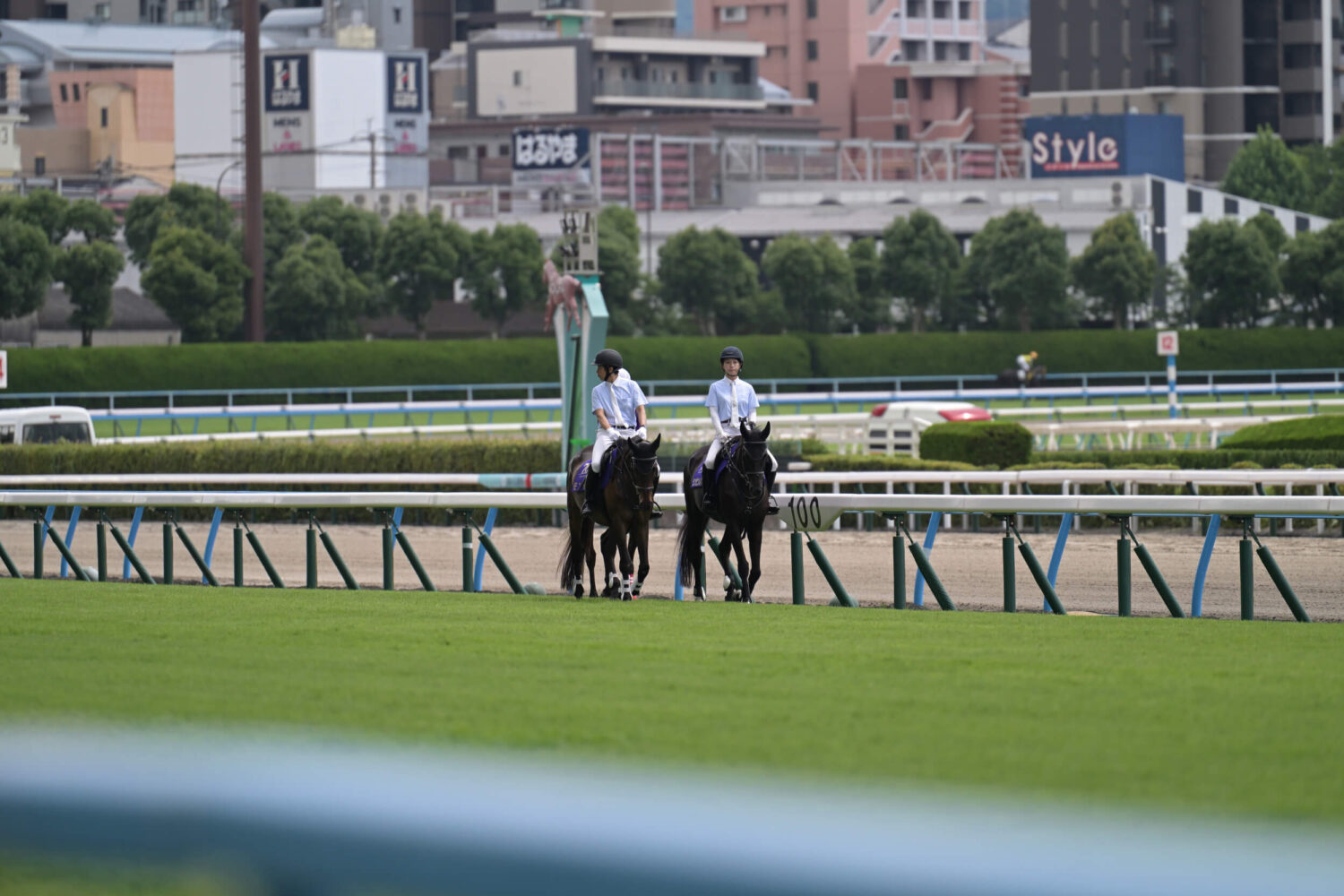 Nikon Z6III初競馬