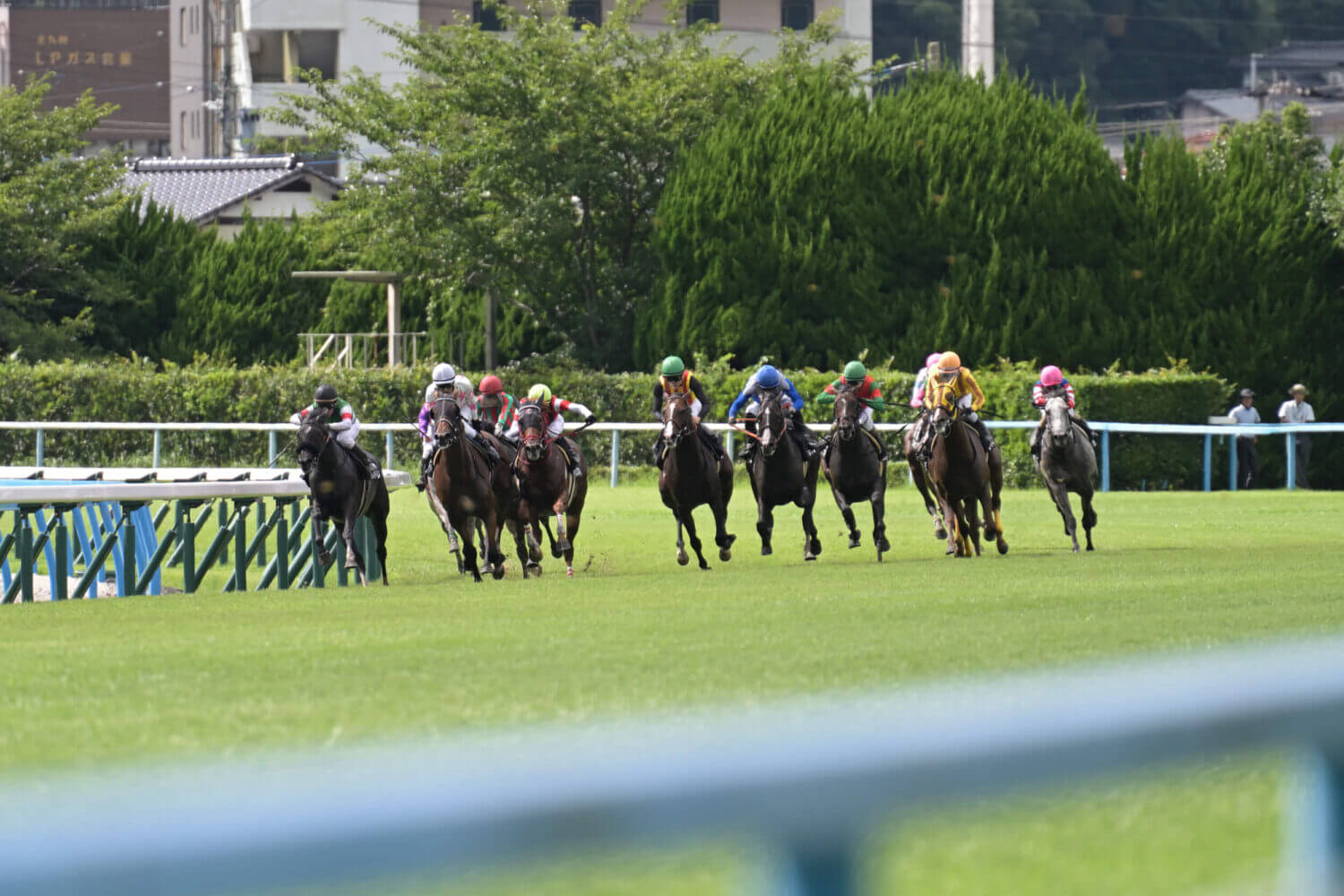 セブンマジシャン 2024年7月20日レース写真