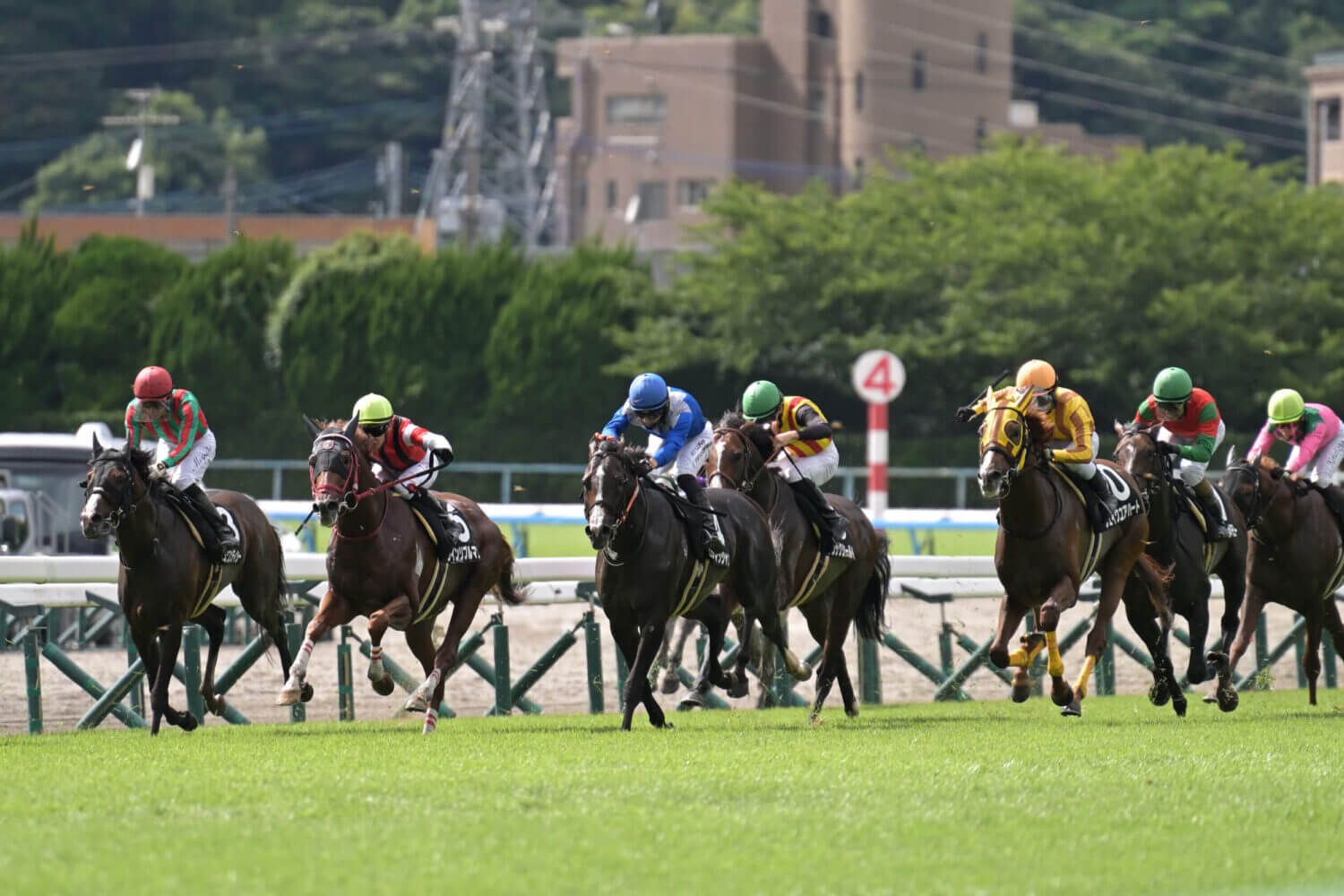 セブンマジシャン 2024年7月20日レース写真