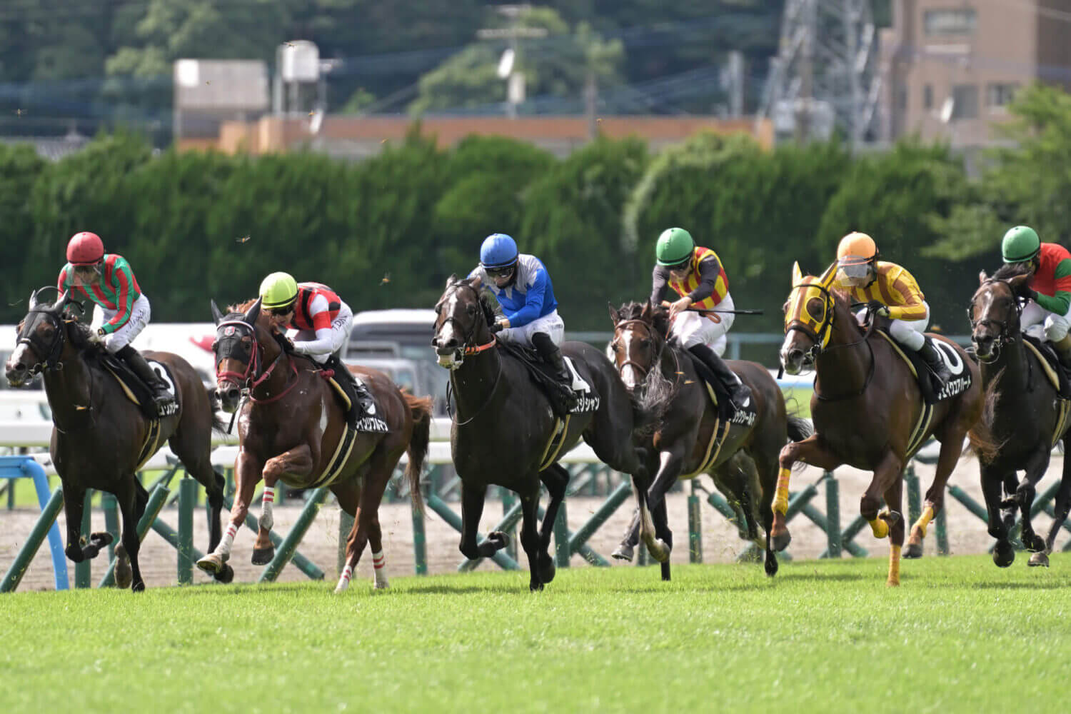 セブンマジシャン 2024年7月20日レース写真