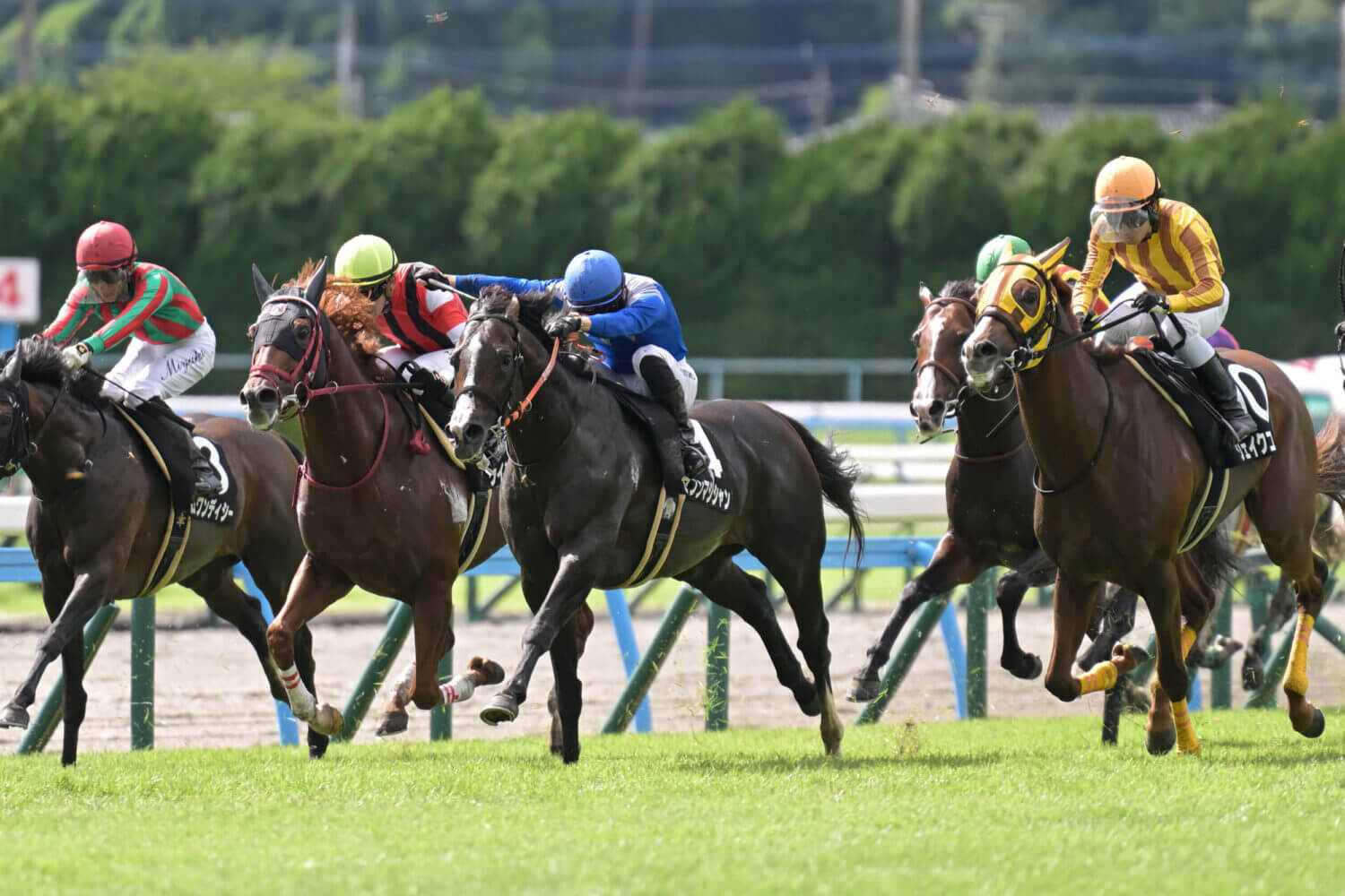 セブンマジシャン 2024年7月20日レース写真