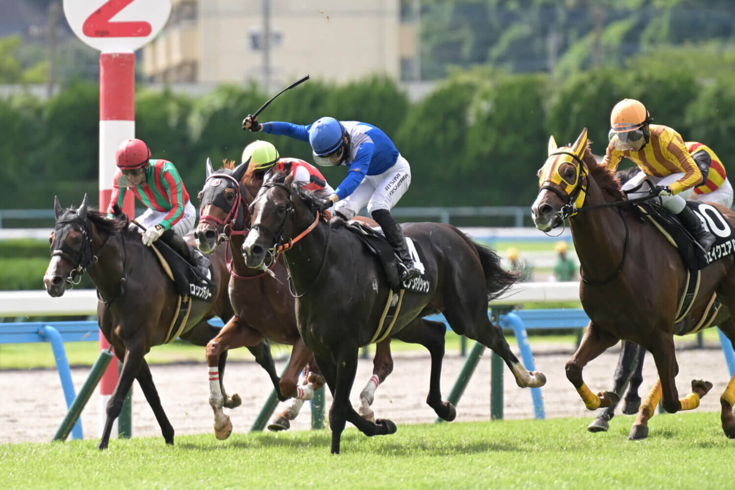 セブンマジシャン 2024年7月20日レース写真