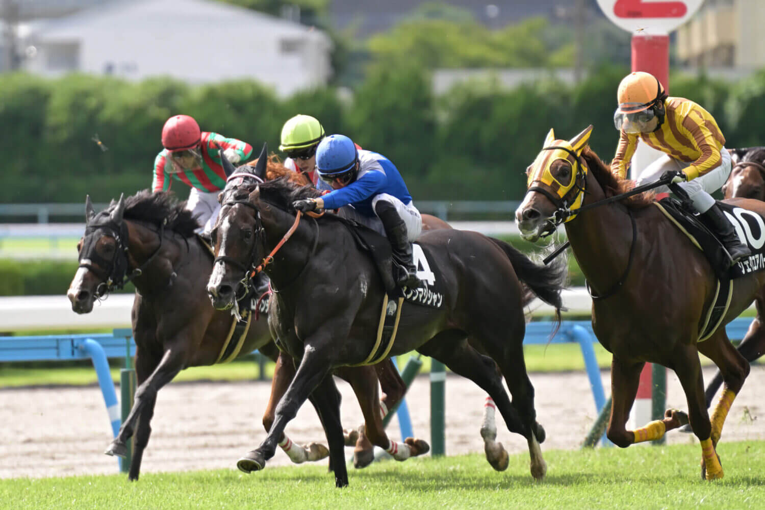 セブンマジシャン 2024年7月20日レース写真