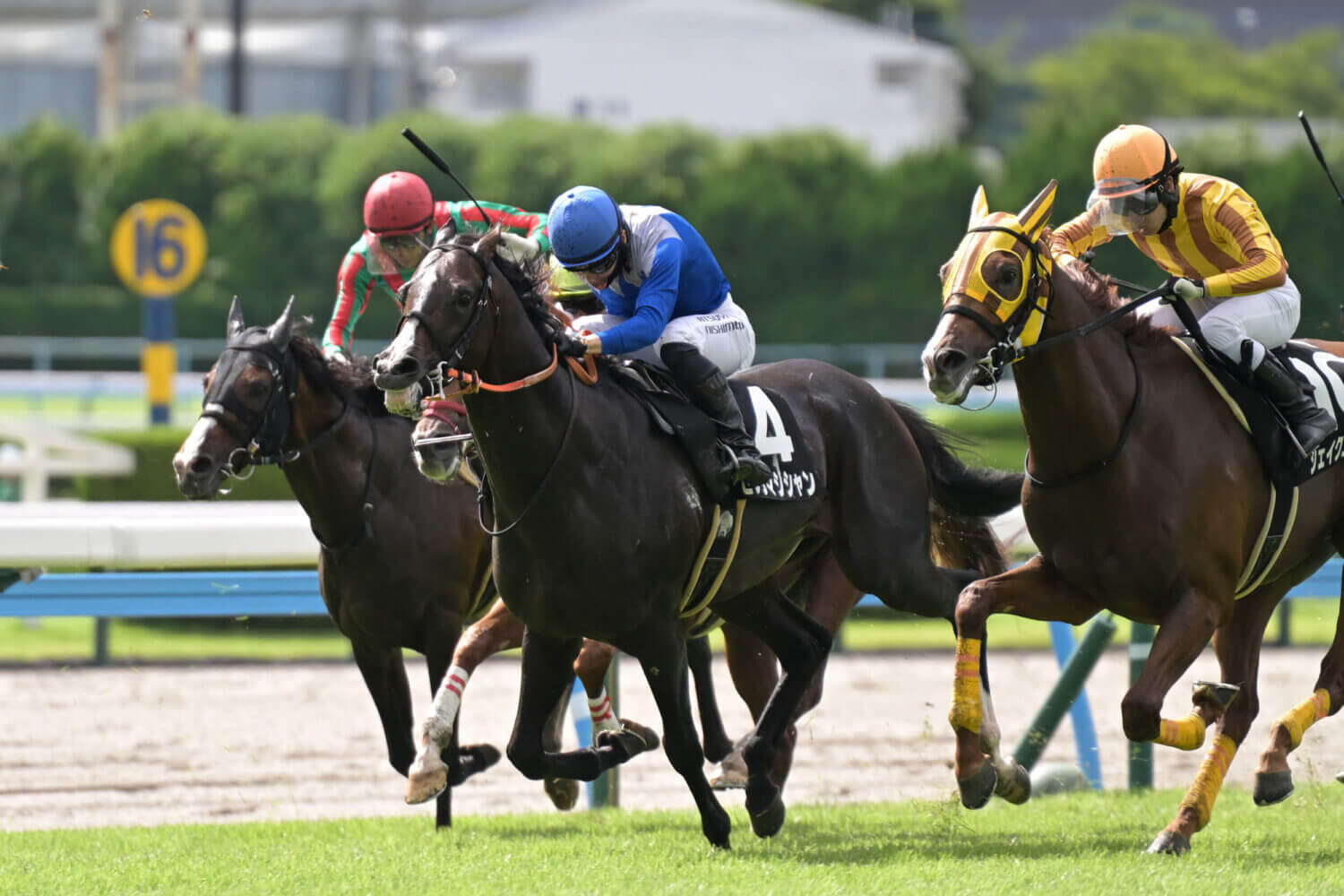 セブンマジシャン 2024年7月20日レース写真