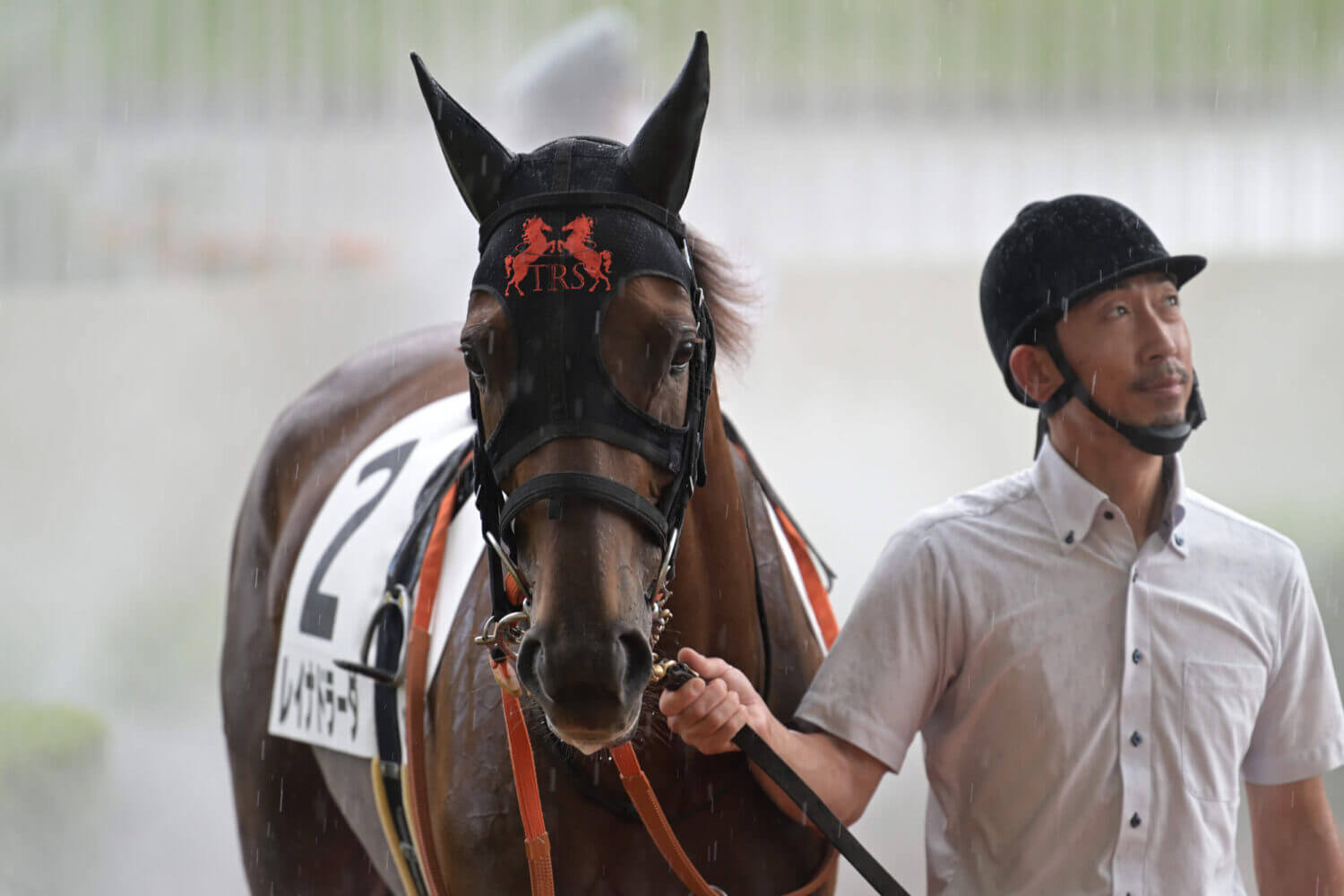 レイナドラーダ 2024年7月21日未勝利戦パドック