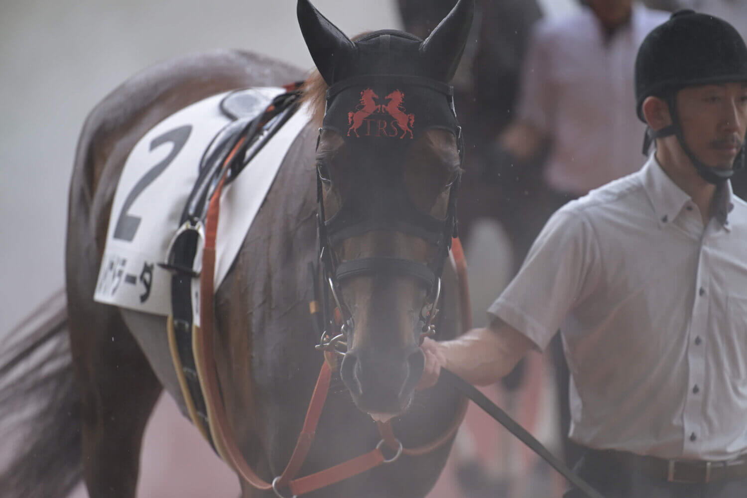 レイナドラーダ 2024年7月21日未勝利戦パドック