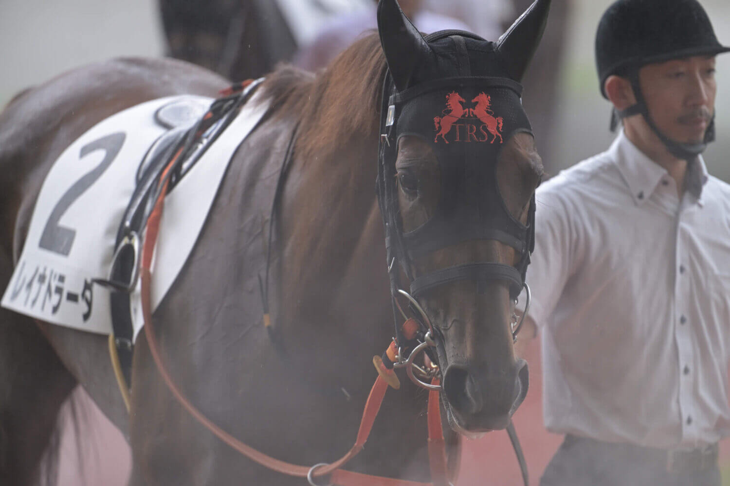 レイナドラーダ 2024年7月21日未勝利戦パドック