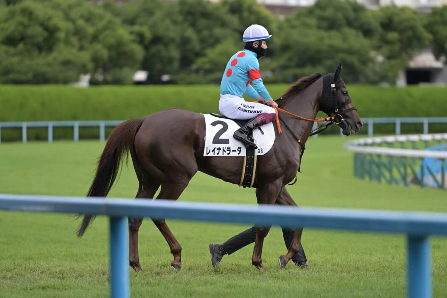 レイナドラーダ 2024年7月21日未勝利戦本馬場入場