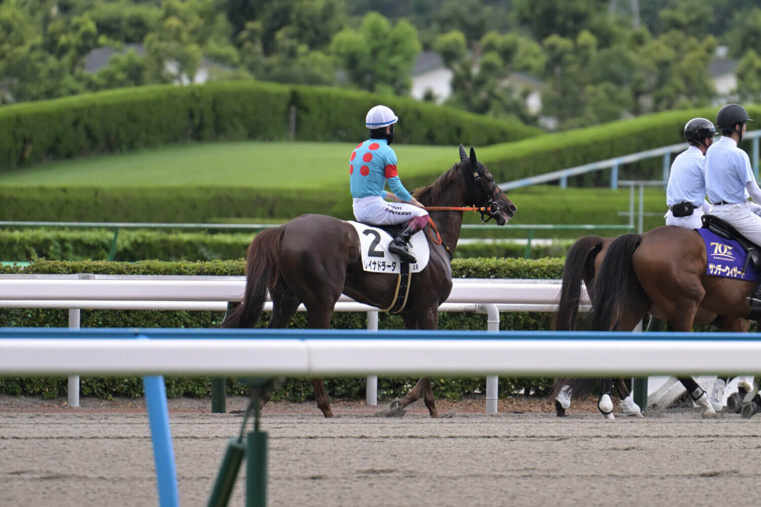 レイナドラーダ 2024年7月21日未勝利戦本馬場入場