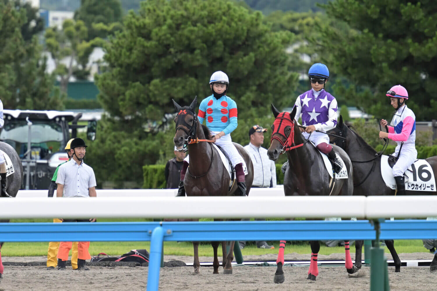 レイナドラーダ 2024年7月21日未勝利戦スタート前の輪乗り